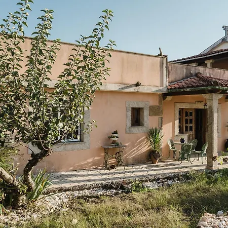 Villa Quinta Do Passal - Gondoriz *